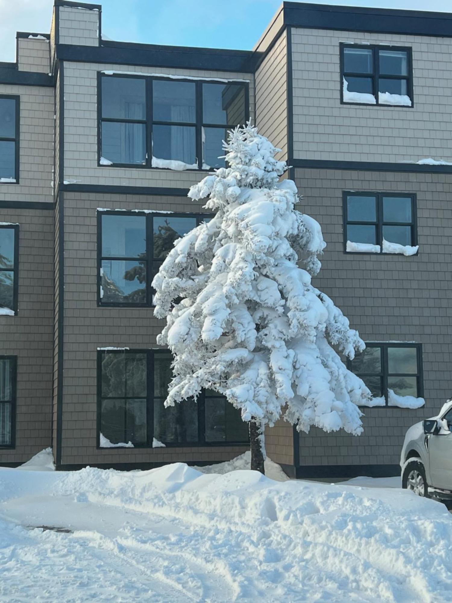 Snowcrest Condo Walking Distance To Slopes سنوشو المظهر الخارجي الصورة